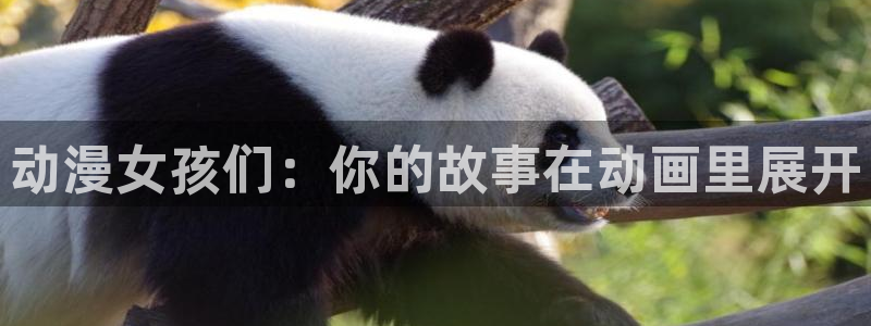 动漫屋下载官网：动漫女孩们：你的故事在动画里展开