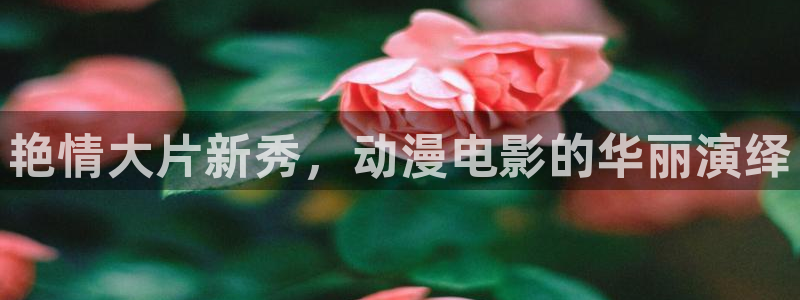 动漫屋动漫：艳情大片新秀，动漫电影的华丽演绎