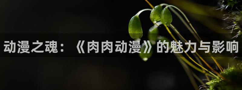 动漫屋下载最新版本：动漫之魂：《肉肉动漫》的魅力与影响