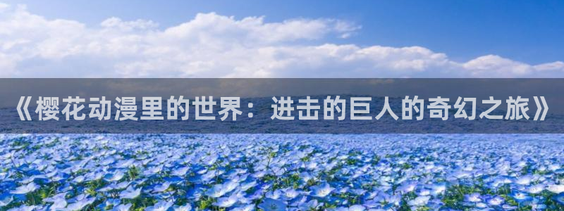 4k动漫屋
