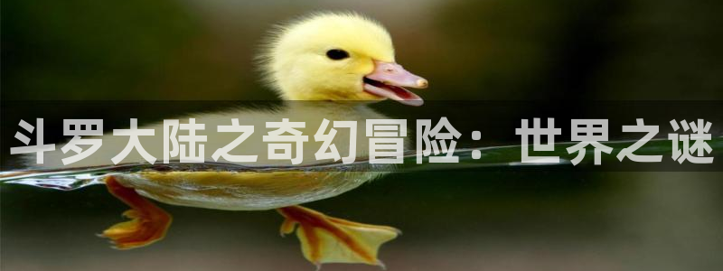 动漫屋官方下载：斗罗大陆之奇幻冒险：世界之谜