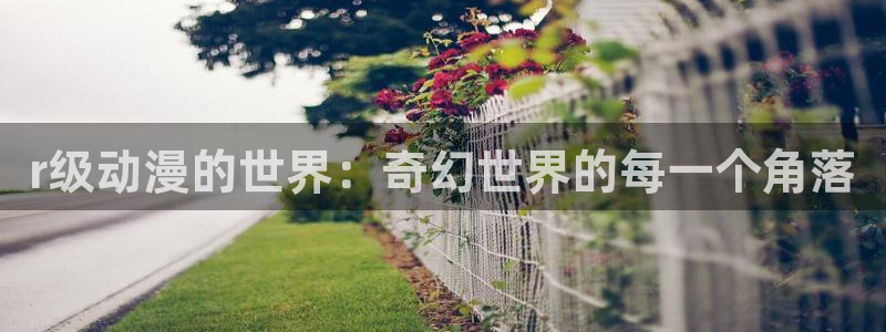 动漫屋免费：r级动漫的世界：奇幻世界的每一个角落
