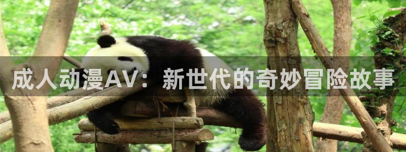 dm5动漫屋：成人动漫AV：新世代的奇妙冒险故事
